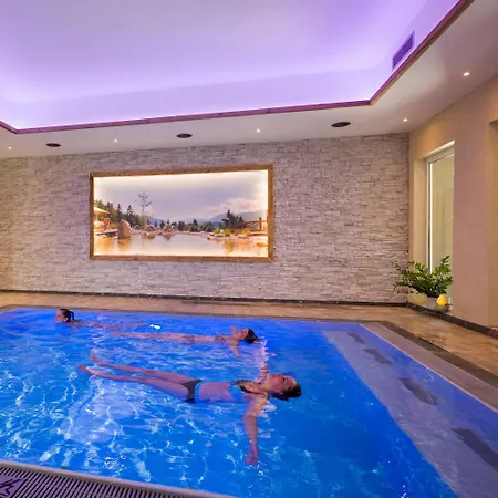 Panorama Royal 4* باد هارينغ